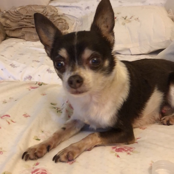 Meet your seller! - Picture 6 of 8